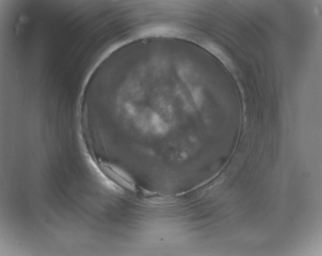 X0000068841392200605191914