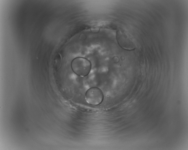 X0000068841393200605191913