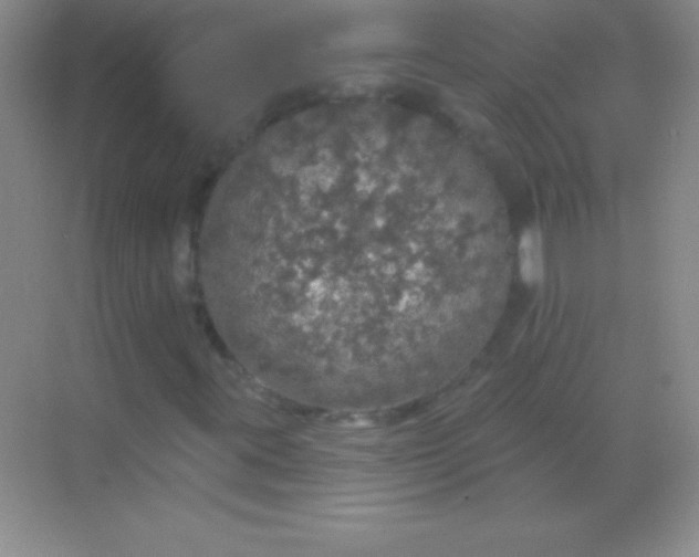 X0000068841395200605191913