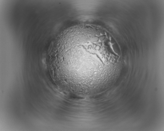 X0000068841396200605191913