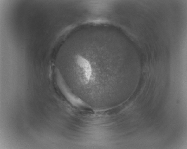 X0000068841398200605191913