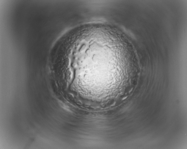 X0000068841400200605191913