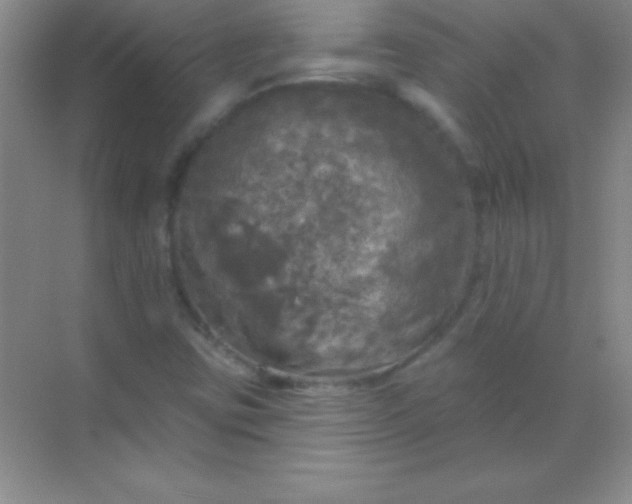 X0000068841403200605191913