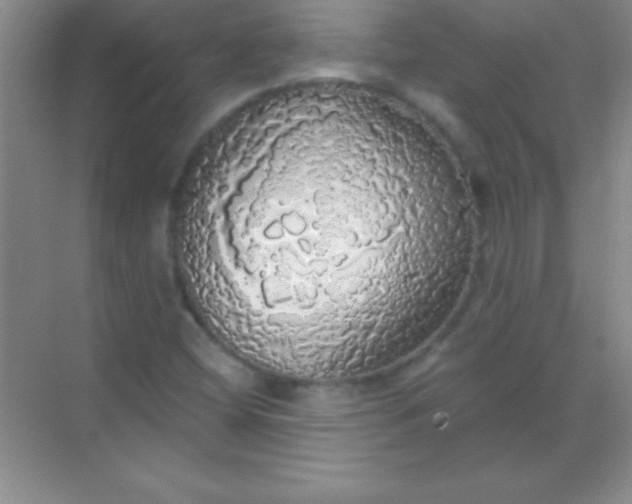 X0000068841404200605191913