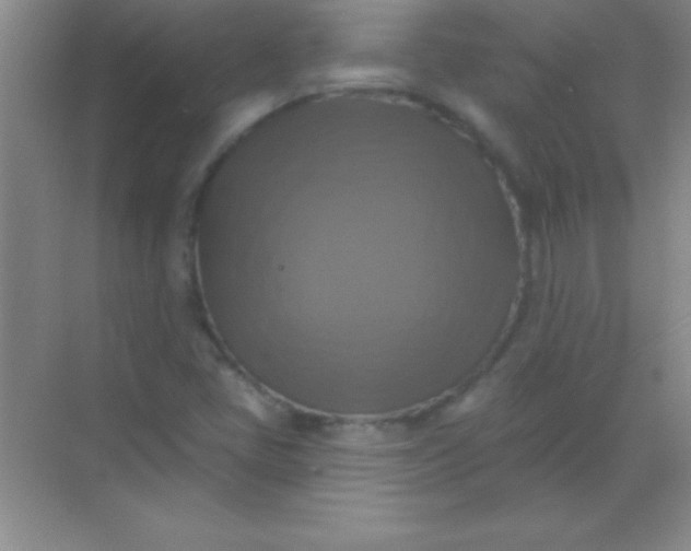 X0000068841405200605191913