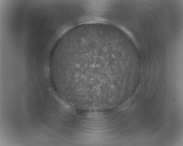 X0000068841407200605191913