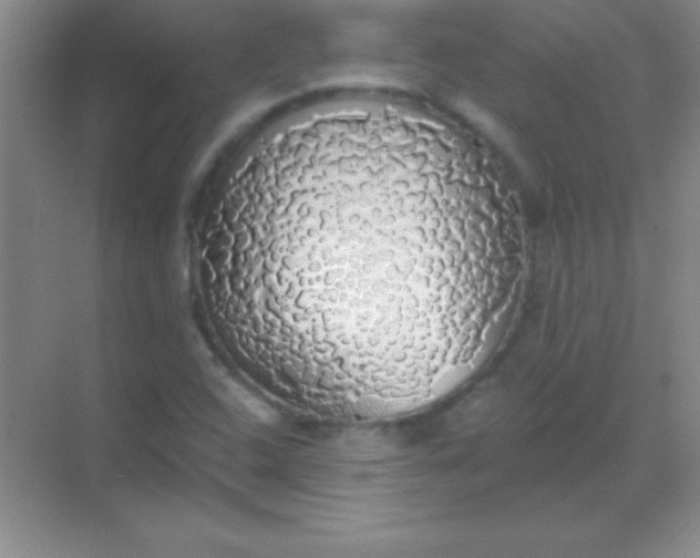 X0000068841408200605191913