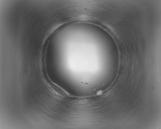 X0000068841410200605191913