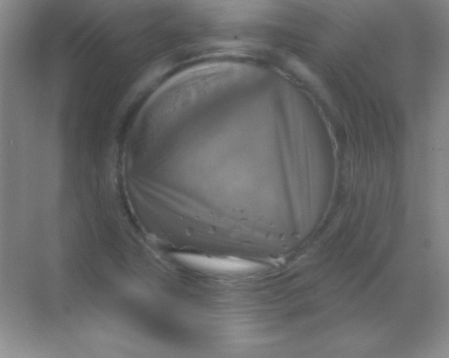 X0000068841411200605191913