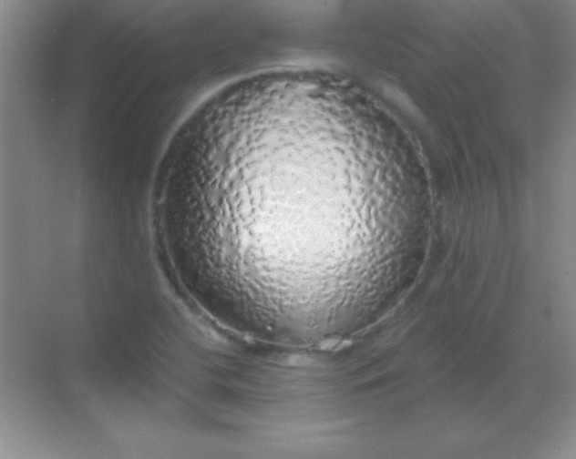 X0000068841412200605191913