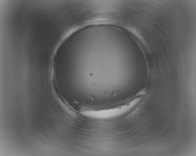 X0000068841413200605191913