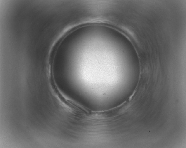 X0000068841414200605191914