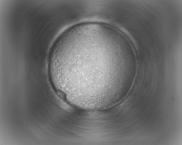 X0000068841416200605191914