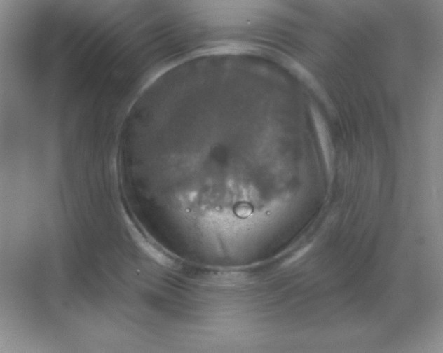 X0000068841417200605191914