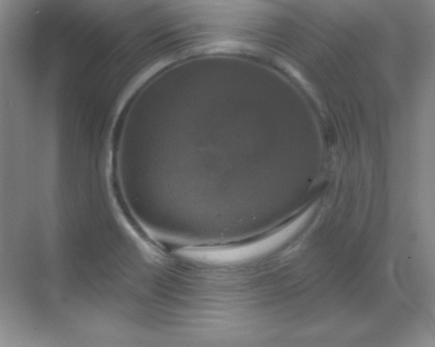 X0000068841418200605191914