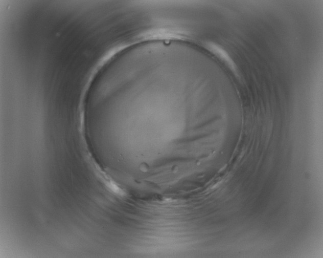 X0000068841419200605191914