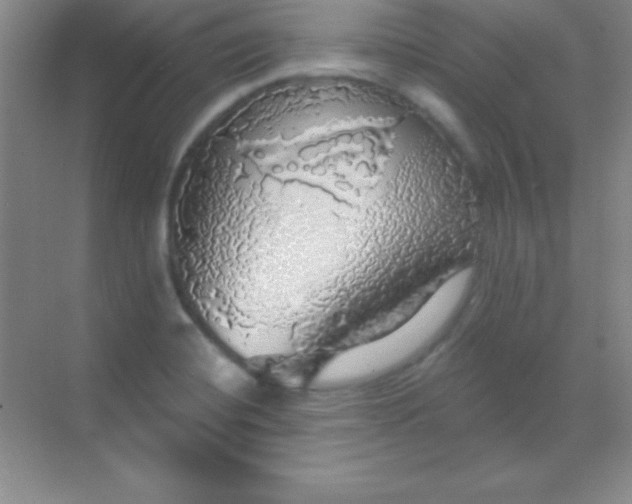 X0000068841420200605191914