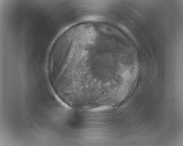 X0000068841421200605191914