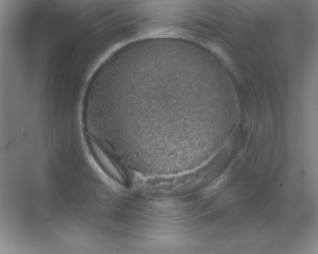 X0000068841422200605191914