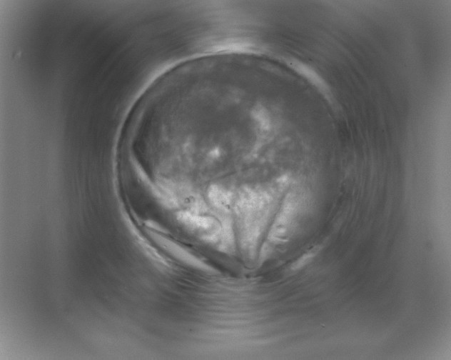 X0000068841423200605191914