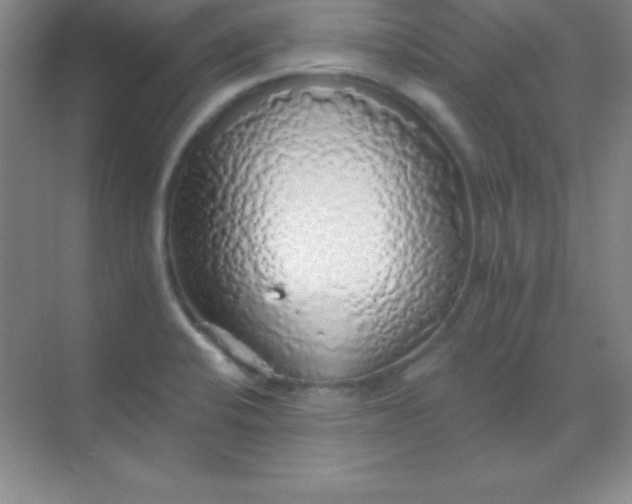 X0000068841424200605191914