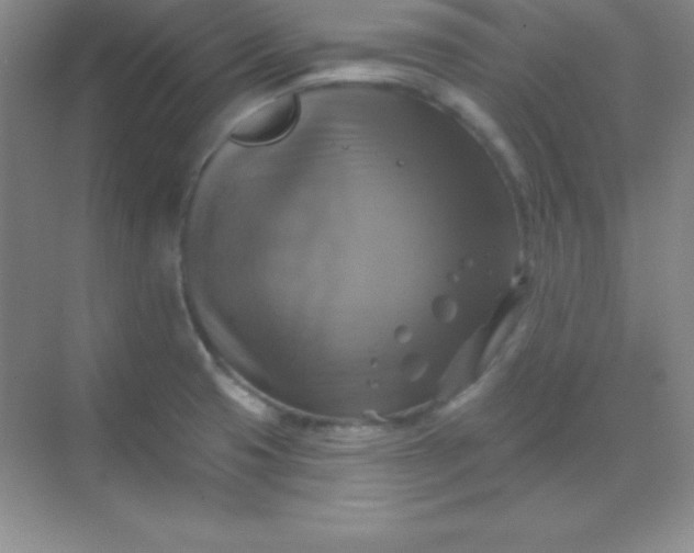 X0000068841425200605191914