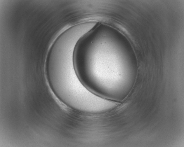 X0000068841426200605191914