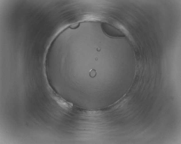 X0000068841427200605191914