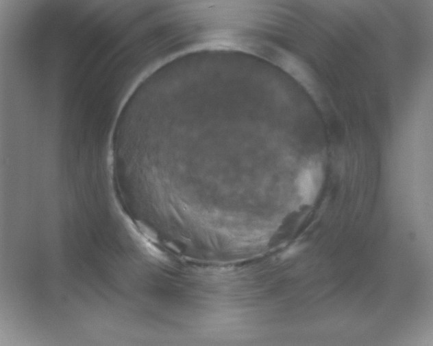 X0000068841428200605191914