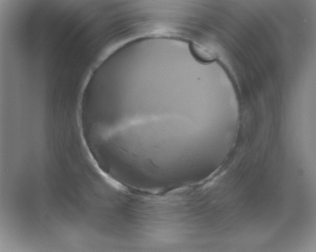 X0000068841429200605191914