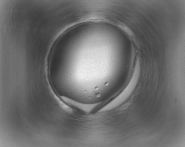 X0000068841430200605191914