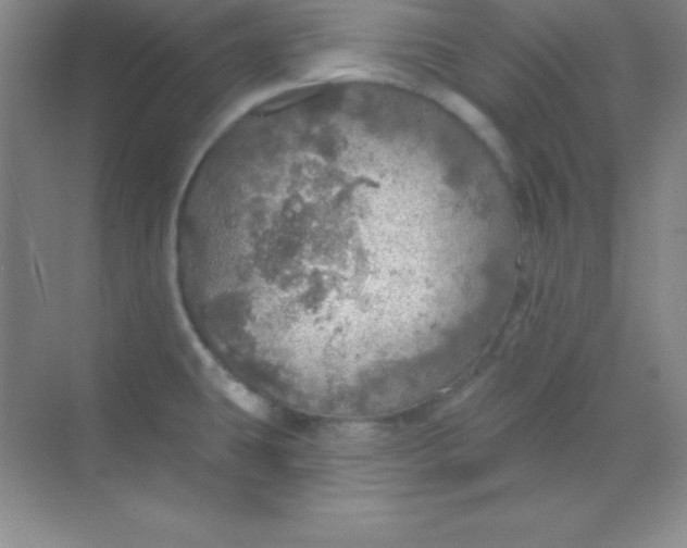 X0000068841431200605191914