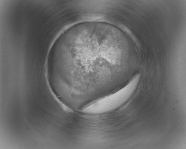 X0000068841432200605191914