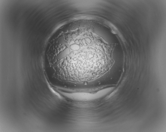 X0000068841433200605191914