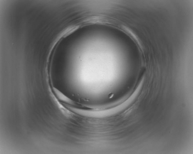 X0000068841434200605191914