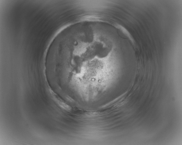 X0000068841435200605191914