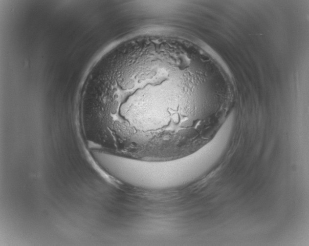 X0000068841437200605191914