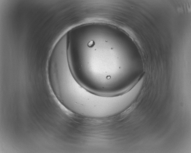 X0000068841438200605191914