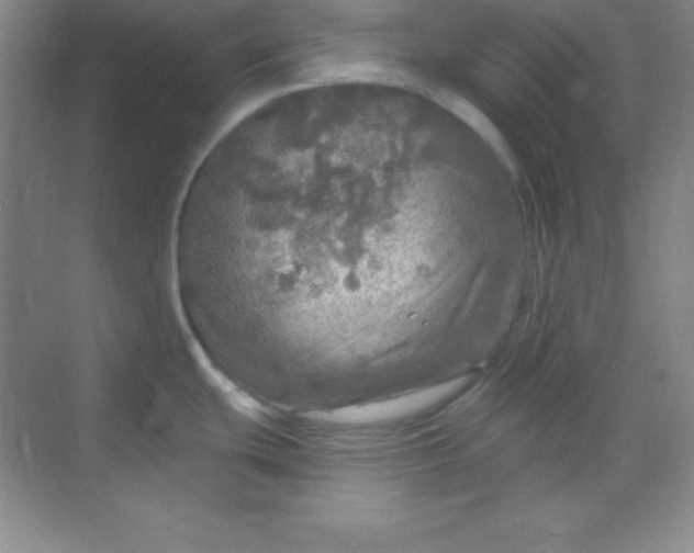 X0000068841439200605191914