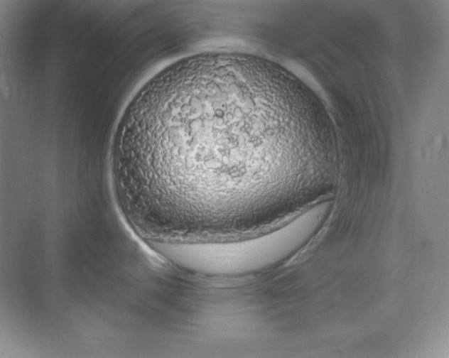 X0000068841440200605191914