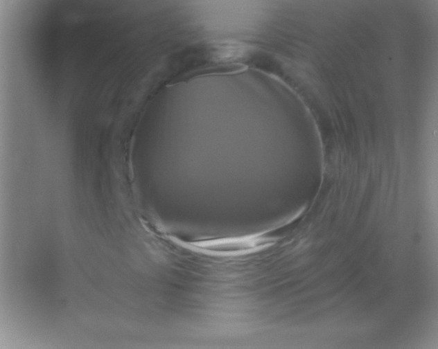 X0000068841441200605191913