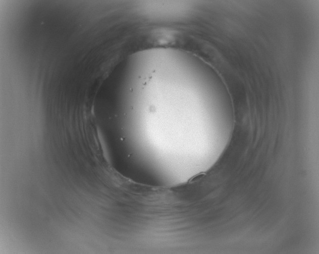 X0000068841442200605191913