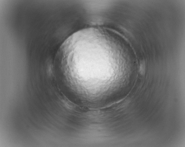 X0000068841444200605191913