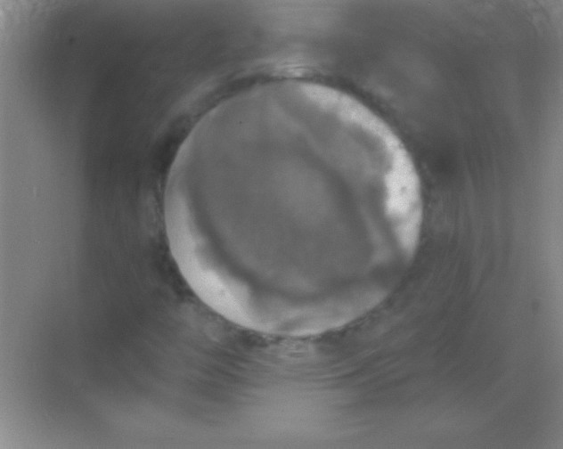 X0000068841446200605191913