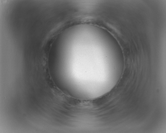 X0000068841447200605191913