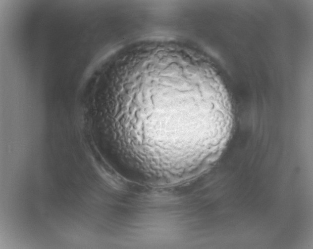 X0000068841448200605191913