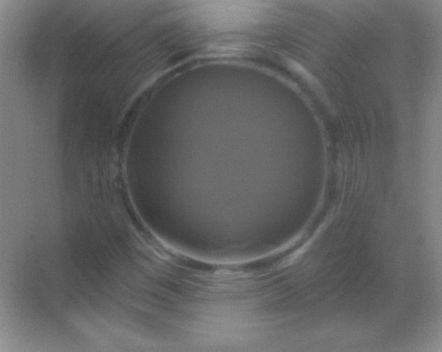 X0000068841449200605191913