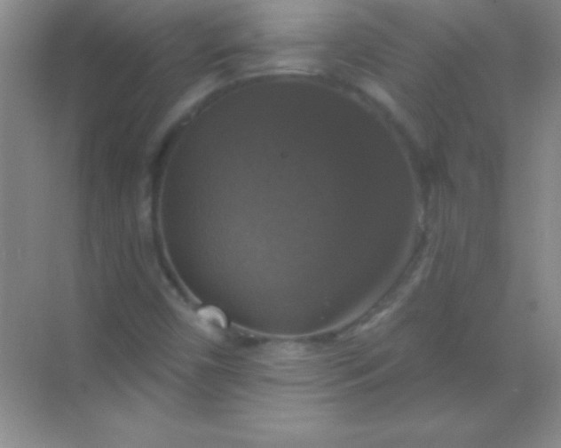 X0000068841450200605191913