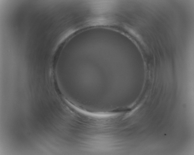 X0000068841453200605191913