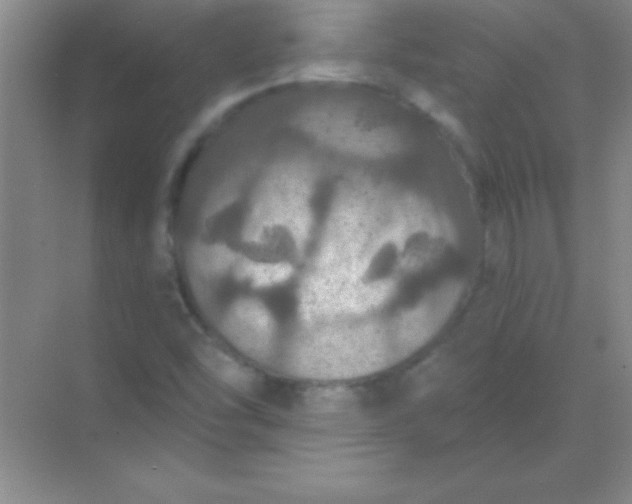 X0000068841454200605191913